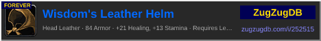 Wisdom's Leather Helm: forum signature banner